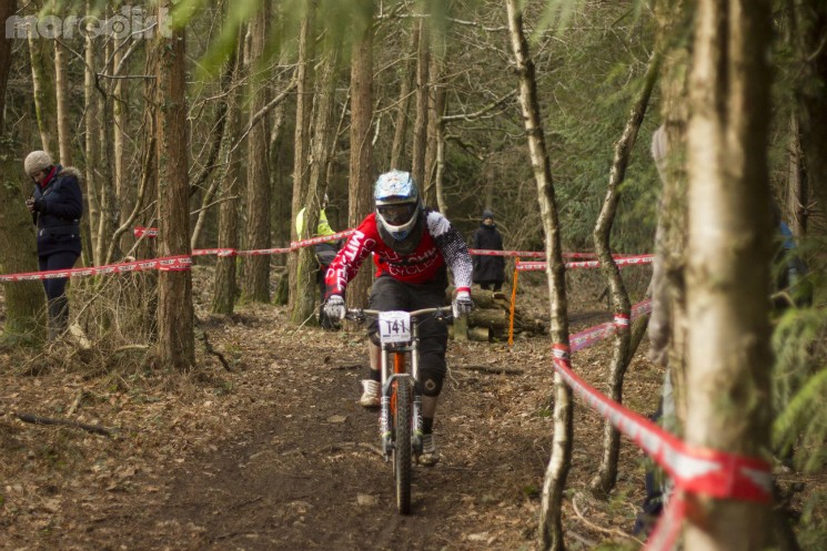 tavistock woodland riders 1 winter 2013