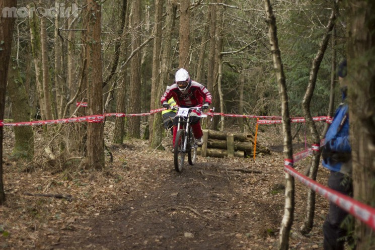tavistock woodland riders 1 winter 2013