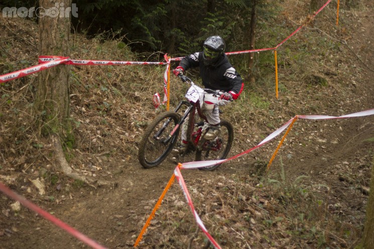 tavistock woodland riders 1 winter 2013