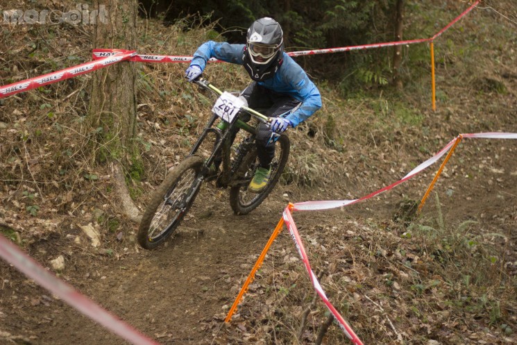 tavistock woodland riders 1 winter 2013