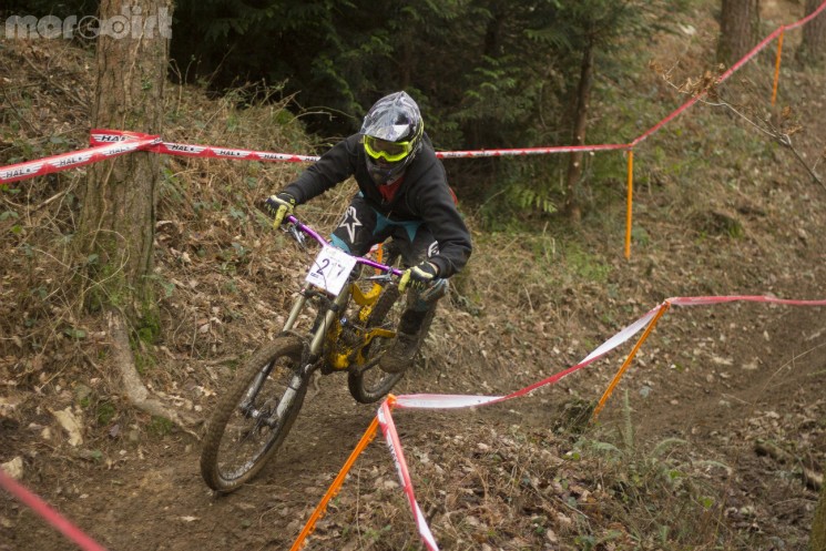 tavistock woodland riders 1 winter 2013