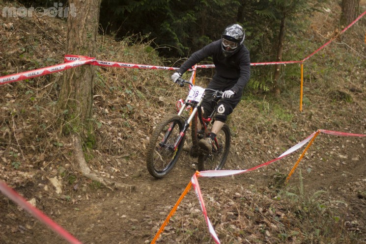 tavistock woodland riders 1 winter 2013