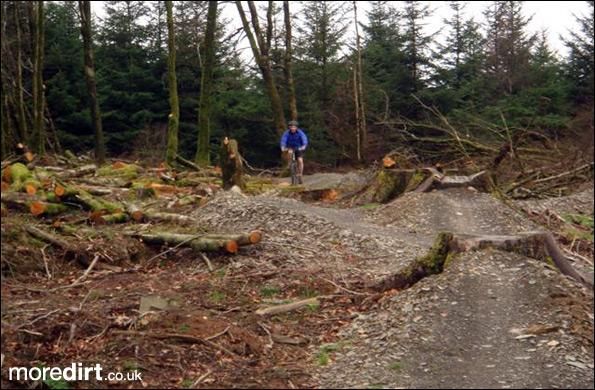 Gorlech Trail - Brechfa