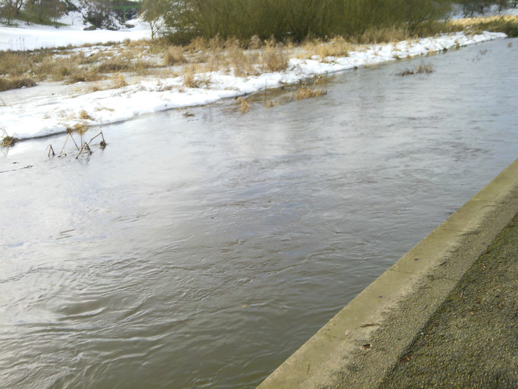 Verderers' Trail - Forest of Dean