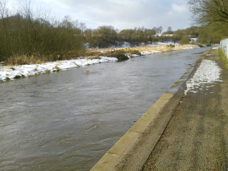 Verderers' Trail - Forest of Dean