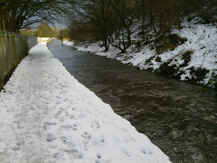Verderers' Trail - Forest of Dean