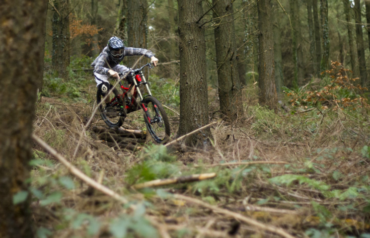 Greg Berry - Teign Woods