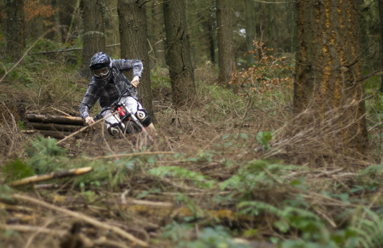 Greg Berry - Teign Woods