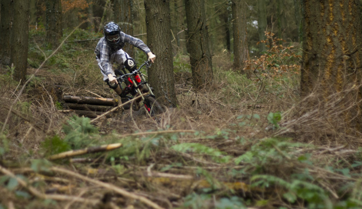 Greg Berry - Teign Woods