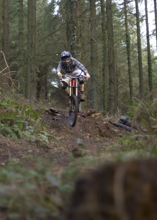 Greg Berry - Teign Woods