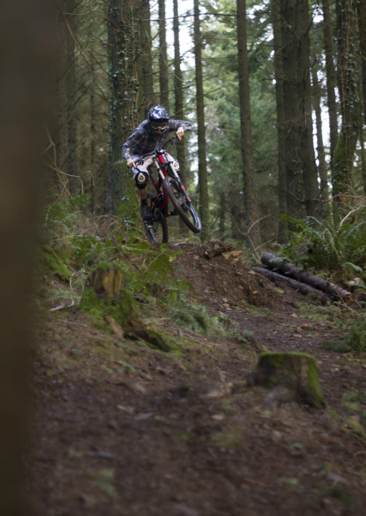 Greg Berry - Teign Woods