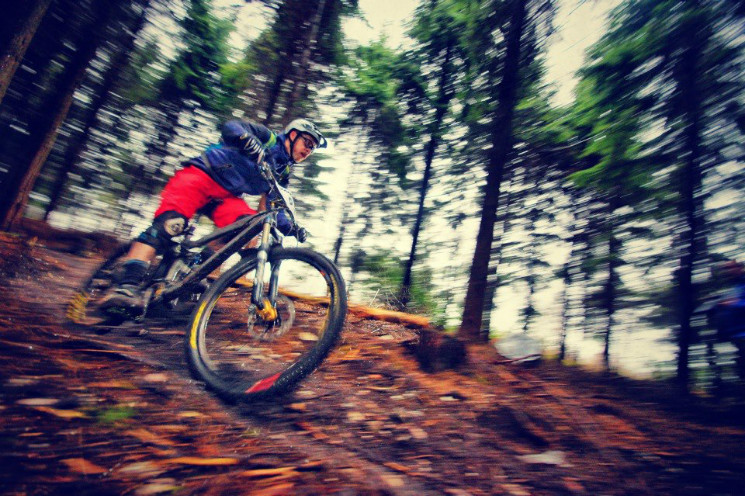 One Industries Mini Enduro - Haldon Forest - Gallery