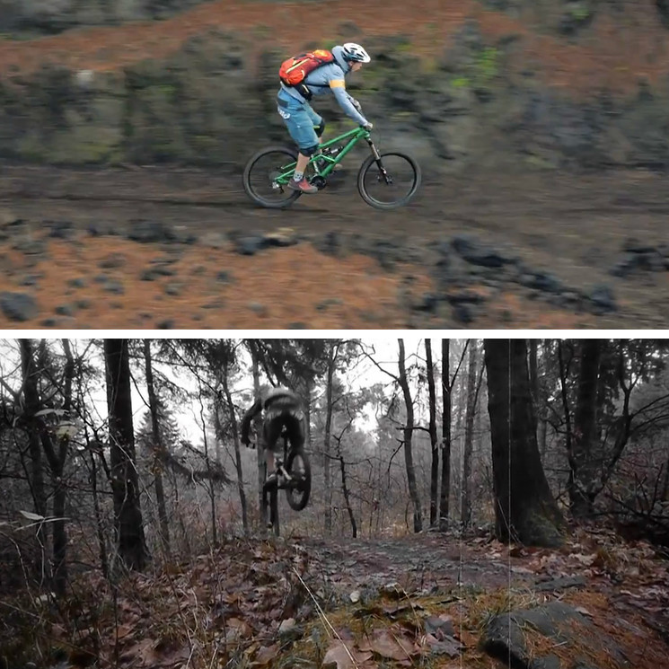 marooned - The Island Files 