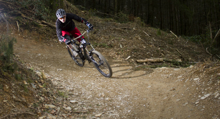 Cardinham Woods Mountain Bike Trails