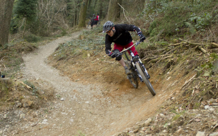 Cardinham Woods Mountain Bike Trails