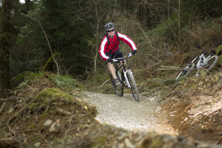 Cardinham Woods Mountain Bike Trails