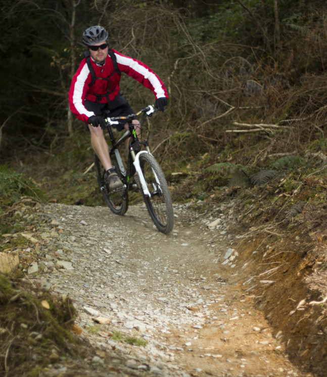 Cardinham Woods Mountain Bike Trails