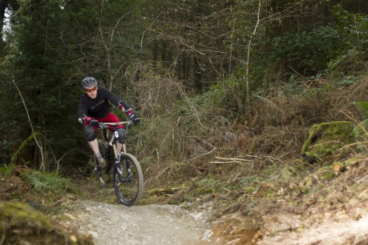 Cardinham Woods Mountain Bike Trails
