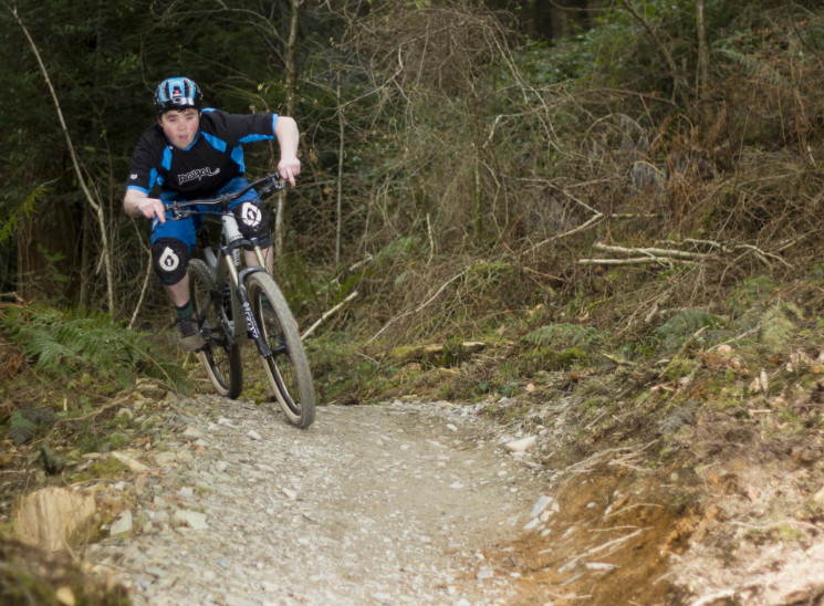 Cardinham Woods Mountain Bike Trails