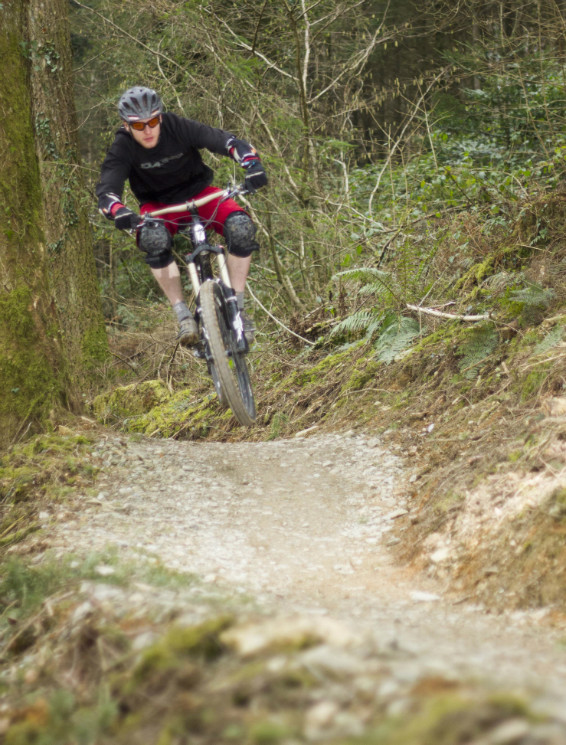 Cardinham Woods Mountain Bike Trails