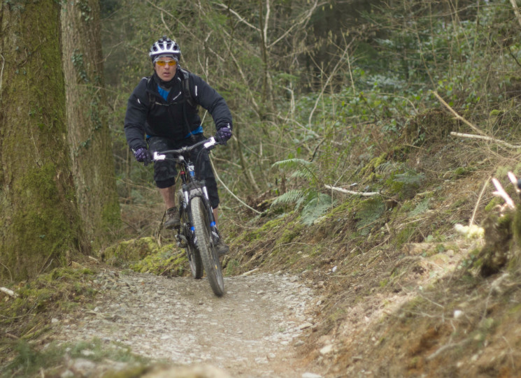 Cardinham Woods Mountain Bike Trails