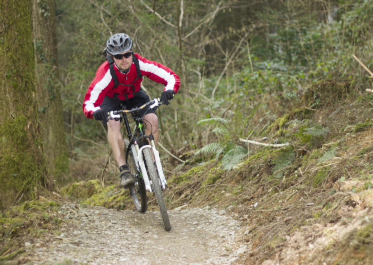 Cardinham Woods Mountain Bike Trails