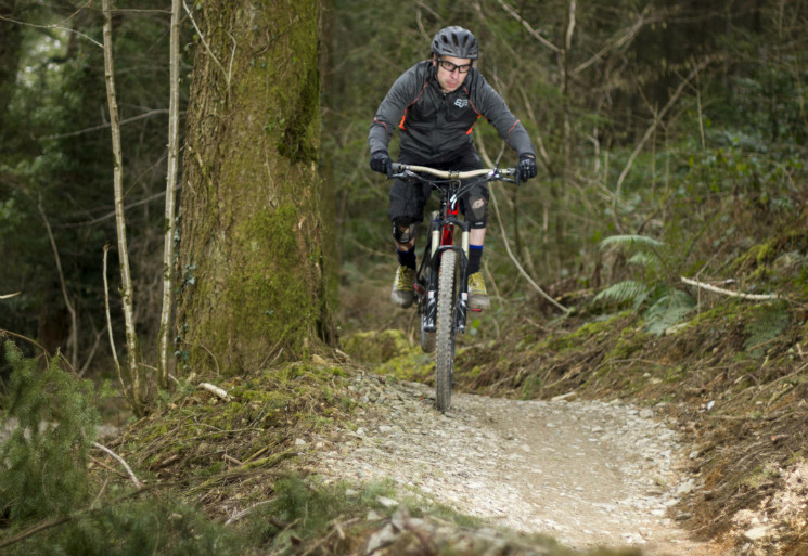 Cardinham Woods Mountain Bike Trails