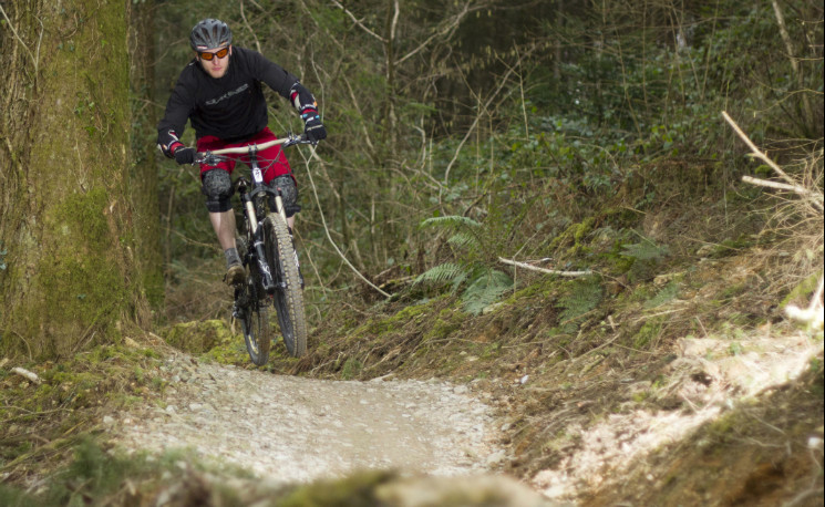 Cardinham Woods Mountain Bike Trails