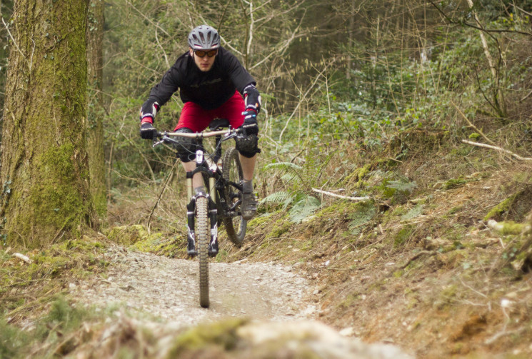 cardinham woods mtb