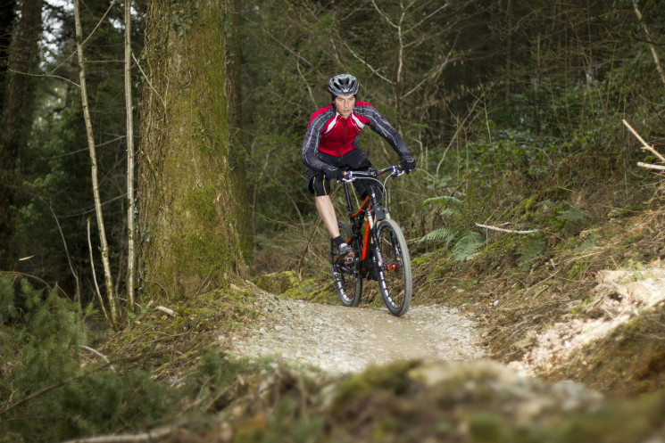 Cardinham Woods Mountain Bike Trails