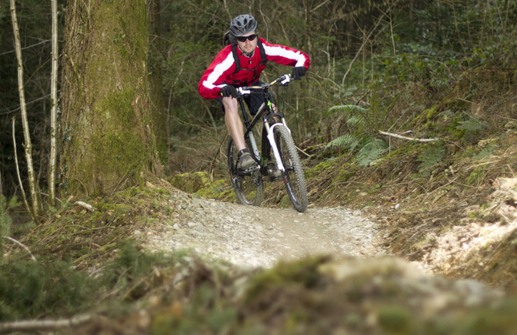 Cardinham Woods Mountain Bike Trails