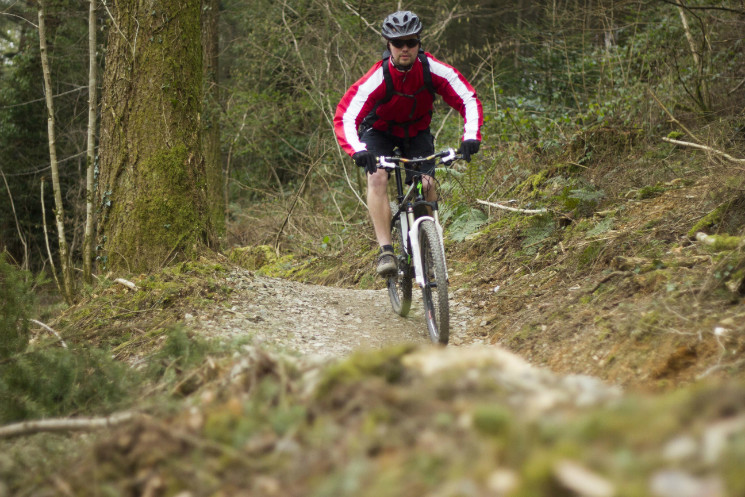 Cardinham Woods Mountain Bike Trails