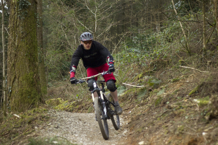 Cardinham Woods Mountain Bike Trails