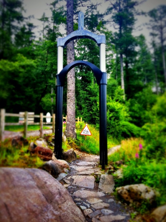 Temptiwr Trail - Coed-y-Brenin