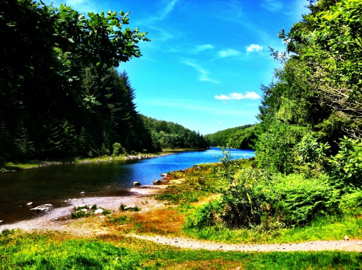 Gwydir Mawr Mountain Bike Trail