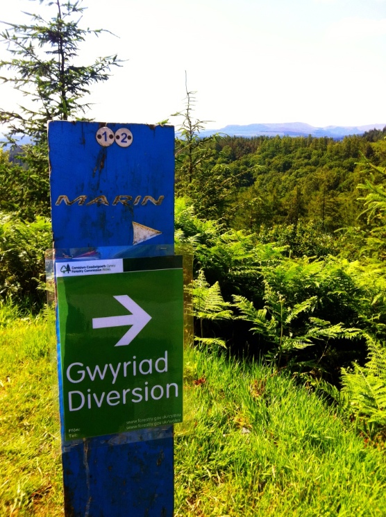 Gwydir Mawr Mountain Bike Trail