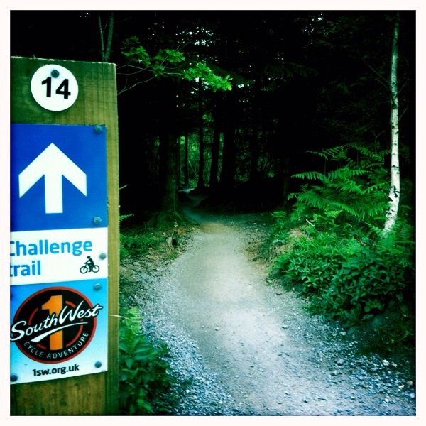 Challenge Trail - Haldon Forest