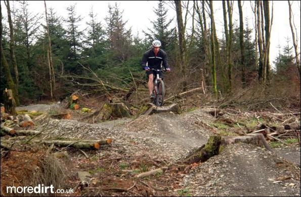 Gorlech Trail - Brechfa