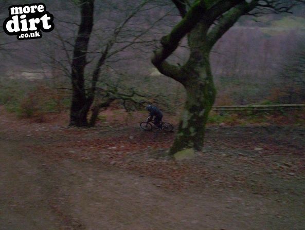 Y Mynydd Downhill - Cwmcarn