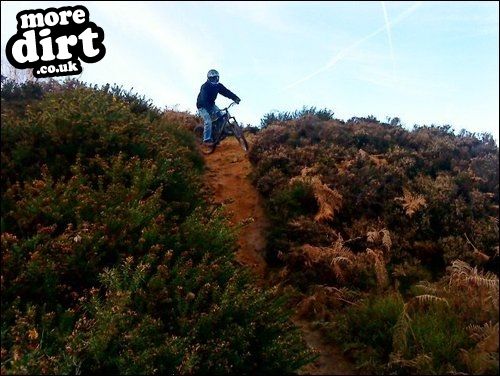 Loxley Common Trails