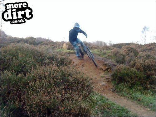 Loxley Common Trails