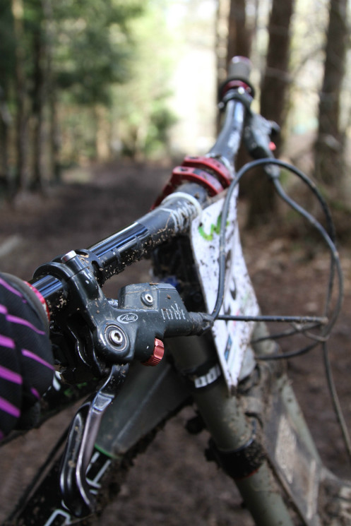 Jason Dalling - Locals