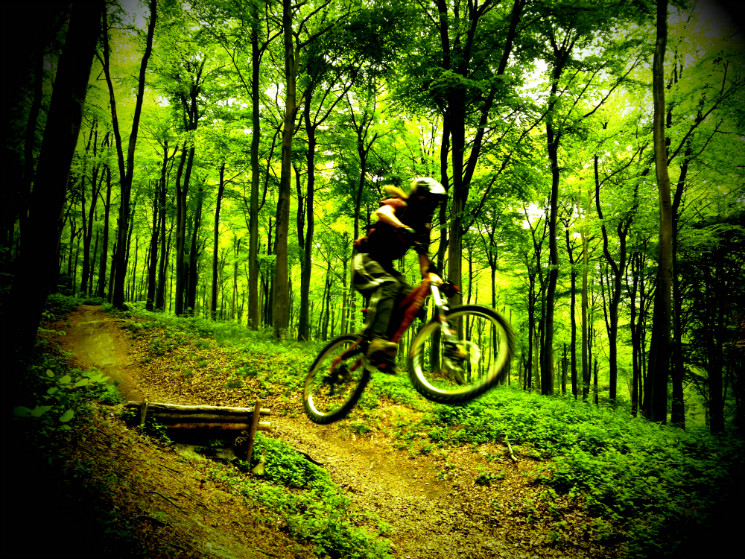 Mountain Bike