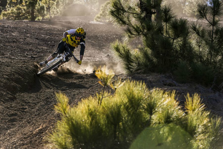 Bluegrass world tour