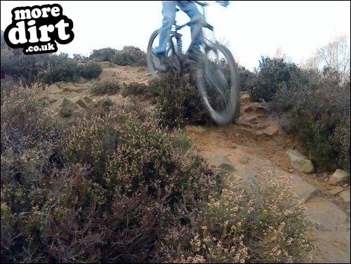 Loxley Common Trails