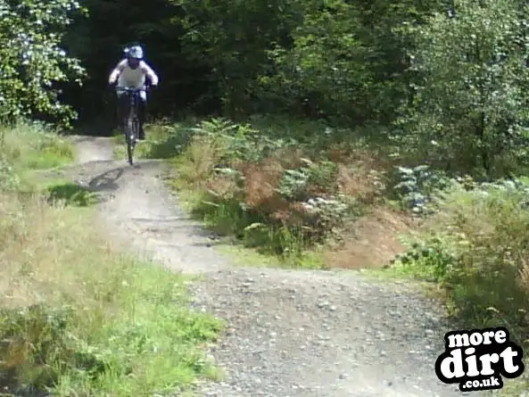 superwol tearing up a section of dalby black trail