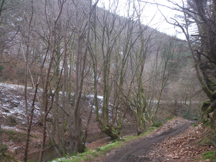 Twrch Trail - Cwmcarn