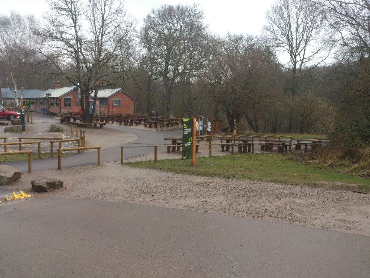 Verderers' Trail - Forest of Dean