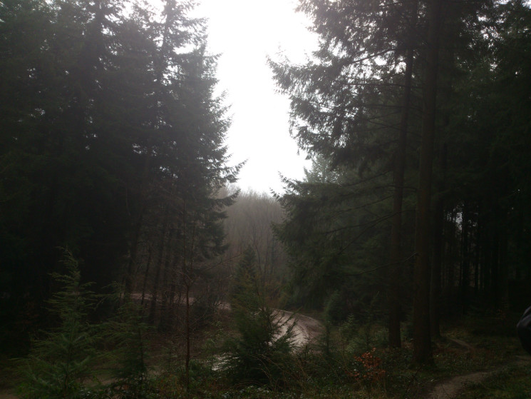 Verderers' Trail - Forest of Dean