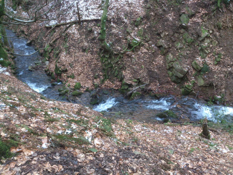 Twrch Trail - Cwmcarn